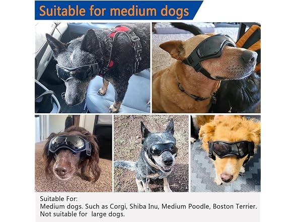 Dog Goggles for Medium Dogs, Dog Sunglasses
