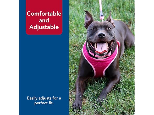 Coastal Pet Comfort Soft Wrap Adjustable Dog