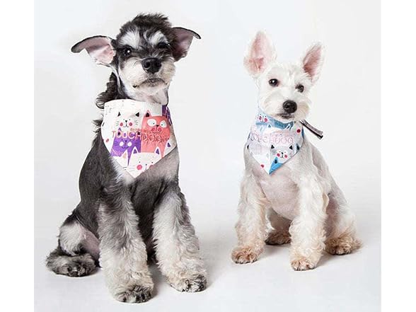 Touchdog ® 'Head-Popper' Pet Bandana