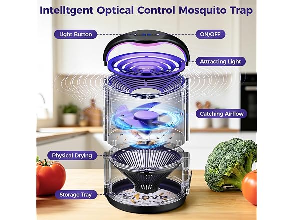 CAGVG Fly Trap Indoor