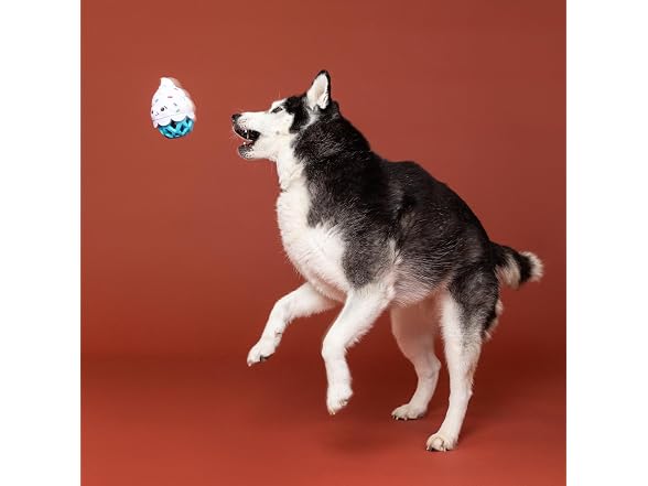 Fringe Studio Rubber Dog Toy, HERE for The Cupcakes