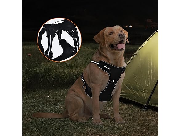 Amazon Basics No Pull Dog Harness