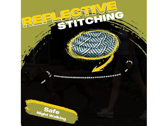 Fida Durable Slip Lead Dog Leash, 6 FT