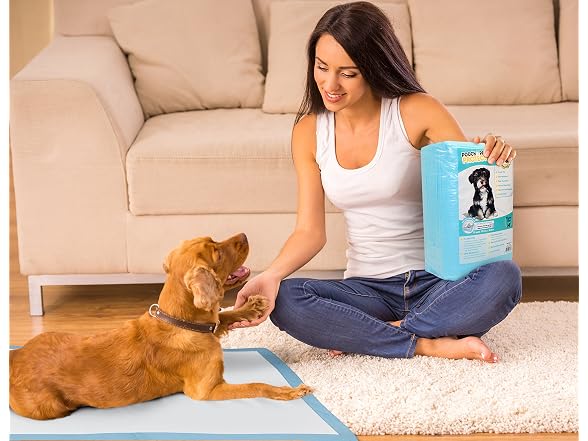 Pooch Pad Protection Best Dog Training Pads 100 Count