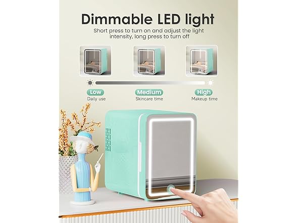 Skincare Fridge With LED Light Mirror