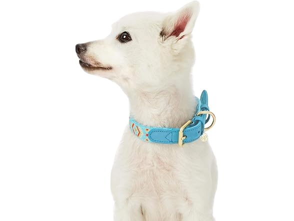 Blueberry Pet 3 Patterns Southwestern Magical