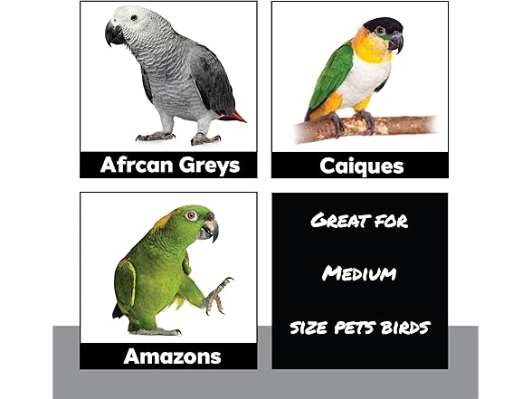 Impeckable Bird Toys 1730 Willow Heart Shredder Bird Toy