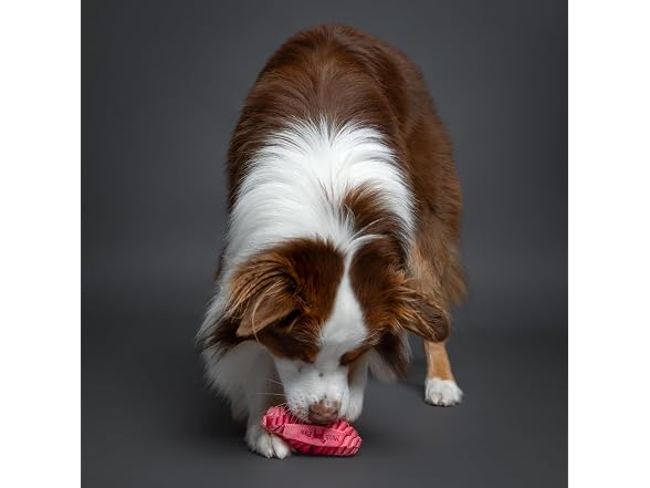 NOAH & PAW Luxury Dog Toy, Dog Rope Toy- Football, Pink