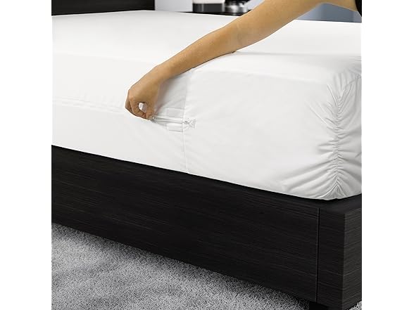 Protect-A-Bed Essential Zippered Mattress Case, Queen