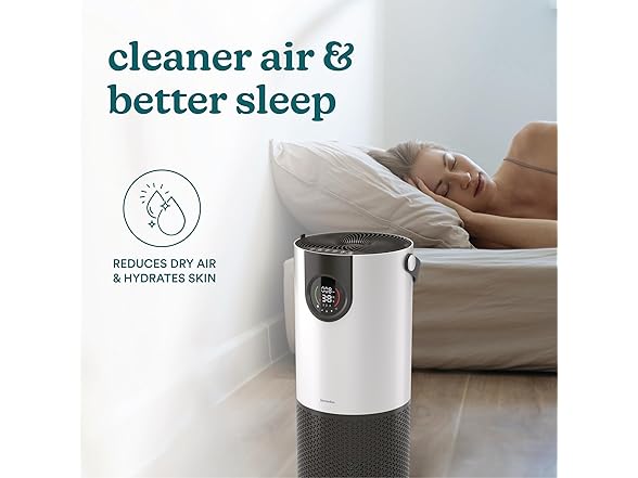 Homedics 2-in-1 Air Purifier & Humidifier