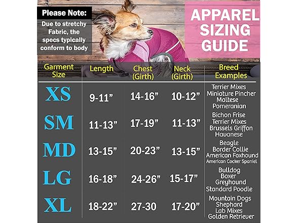 Pet Life ® Barko Pawlo Fitness Dog Polo