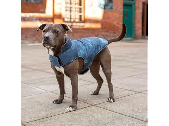 Furhaven Water-Repellent & Reversible Medium Dog Coat