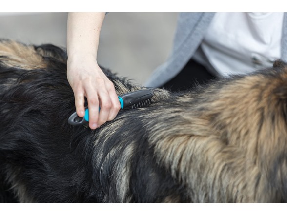 TRIXIE Pet Universal Grooming Rake