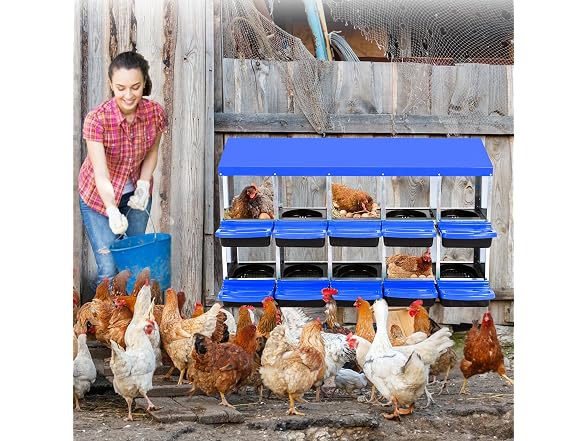 10-Hole Chicken Nesting Box, Without