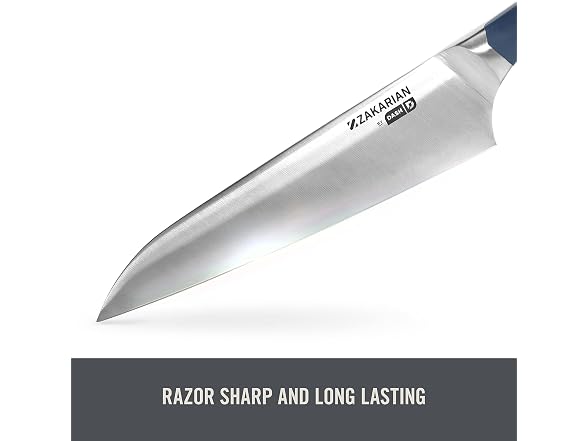 Zakarian by DASH Steak Knife Set