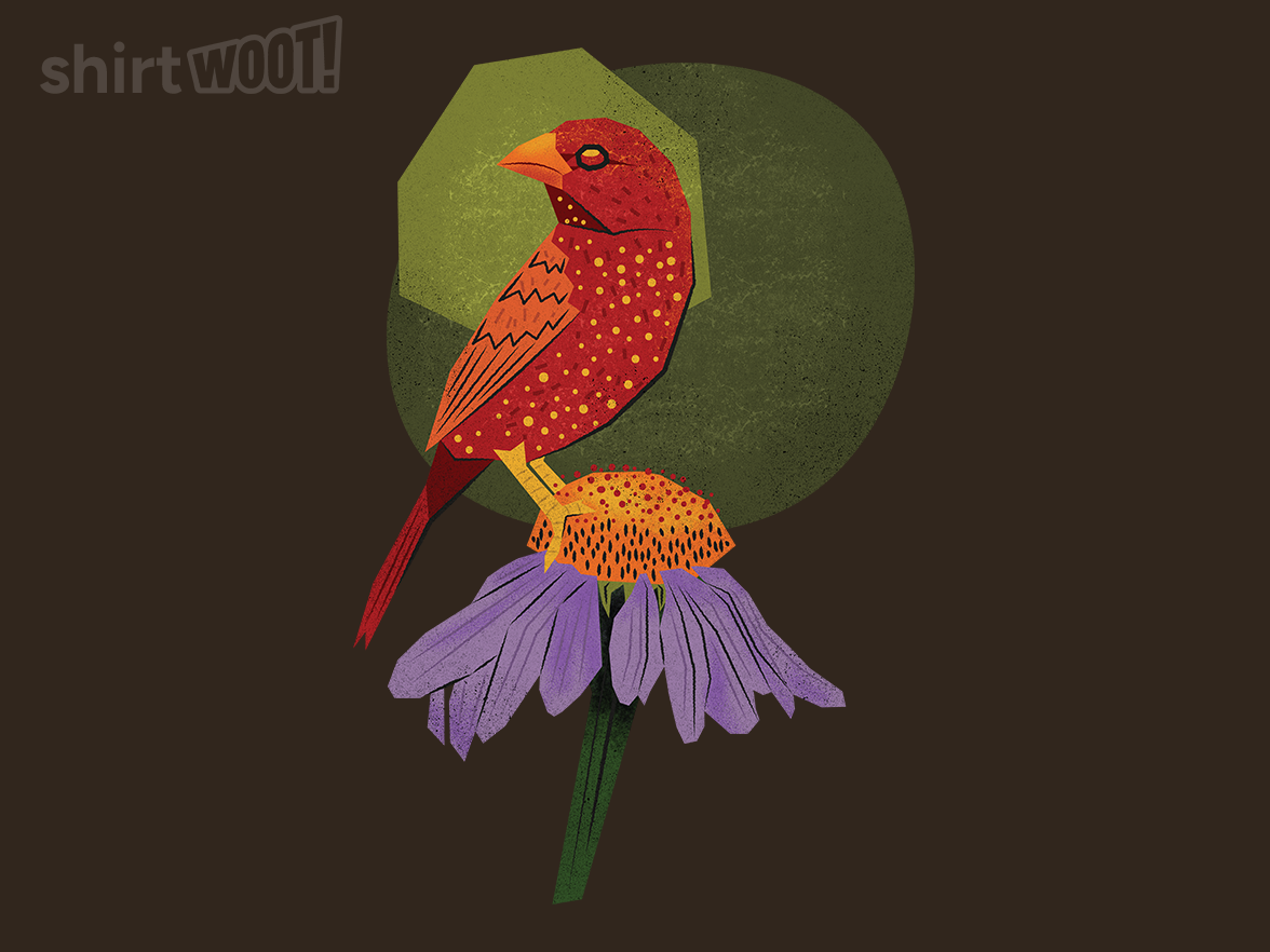 Red Avadavat Bird - Gallery 4