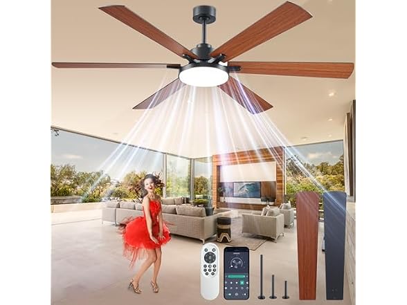 72in Indoor/Outdoor Ceiling Fan with Lights