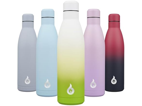 BJPKPK BJPKPK 25oz Insulated Stainless Steel Water Bottles