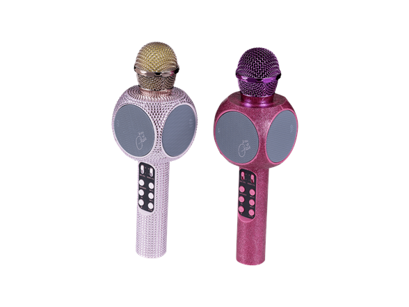 Wireless Karaok Wireless Speaker