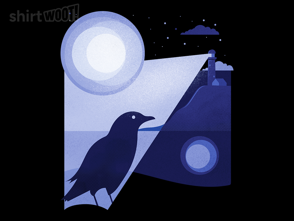 Bird Illuminated By The Lighthouse - Gallery 9