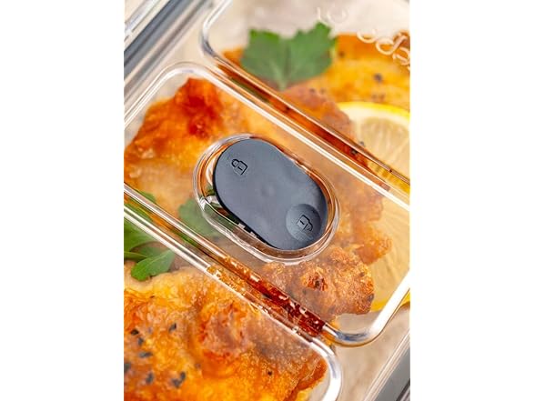 LatchLok Click 14.5 Cup Food Storage Container, Sage