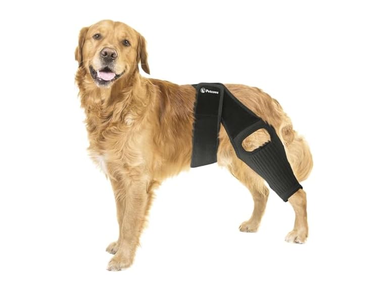 PetCove Dog Knee Brace for Torn ACL Hind Leg, Large