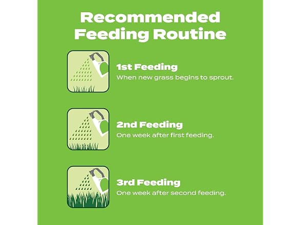 Scotts Turf Builder Starter Food, 32 fl. oz.