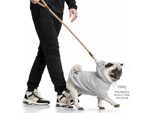 Pet Passion Rowan Dog Training Leash, 4 ft, Chocolate Espresso