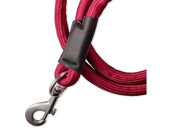 Pet Passion Plush Dog Leash with Cozy Sherpa