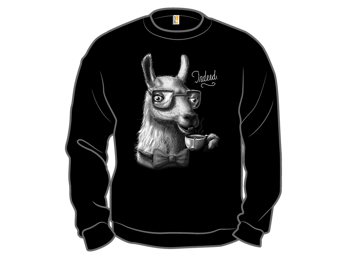The Fancy Llama - Gallery 11
