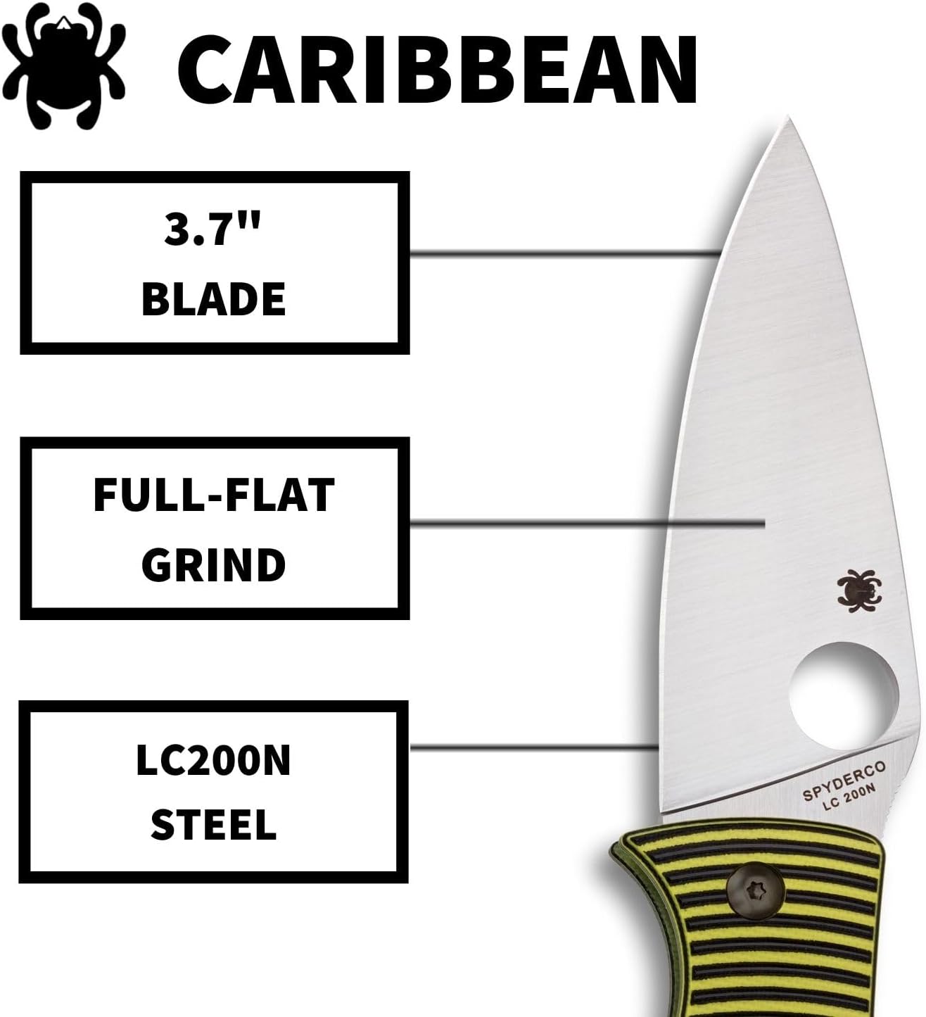 Spyderco Caribbean Folding Knife - Gallery 10
