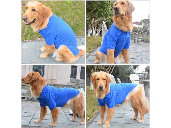 lovelonglong Basic Dog Polo Shirts Premium C