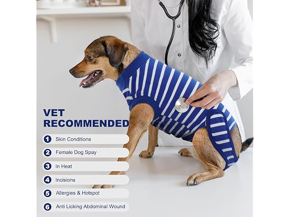 IDOMIK Dog Recovery Suit