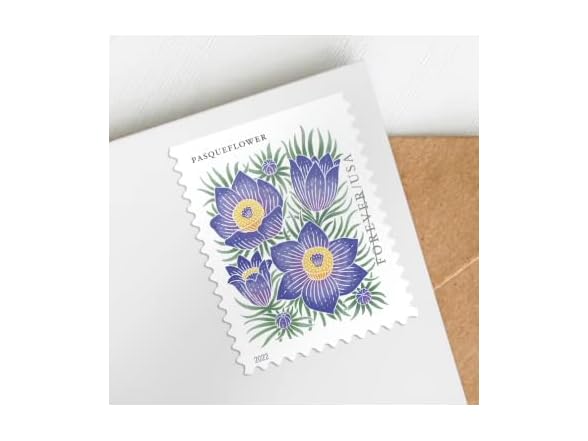 United States Postal Service Postage