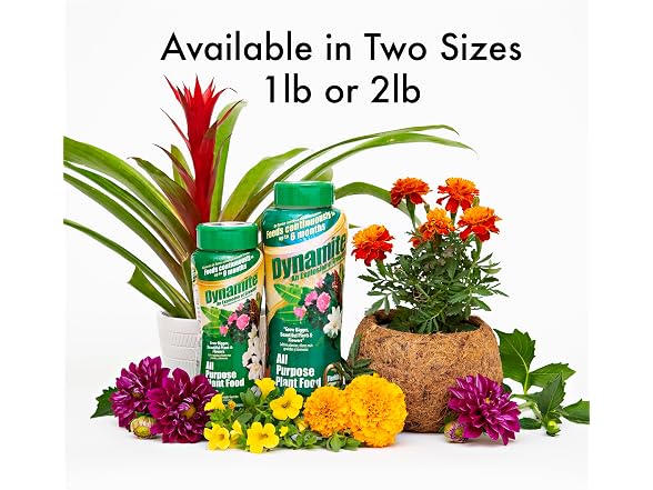 Dynamite All Purpose Plant Food 1-Pound
