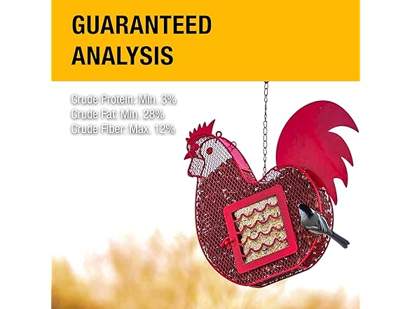 Berry All Season No Mess Suet Cake Birders Pack