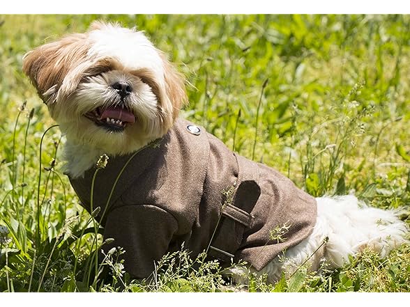 Pet Life ® Galore Buckled Wool Dog Coat
