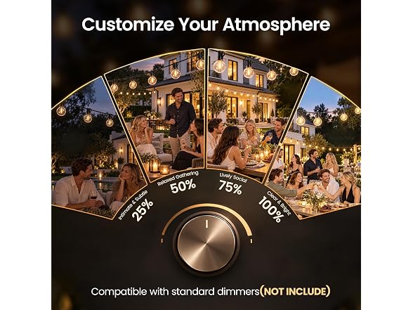 RTTY 100FT Outdoor String Lights G40