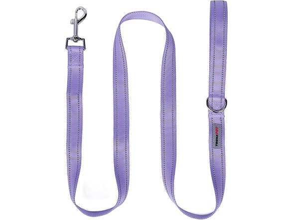TRUKSPET 5FT Reflective Dog Leash