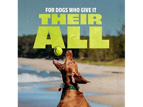 Benebone Natural Rubber Ball, 2-Pack