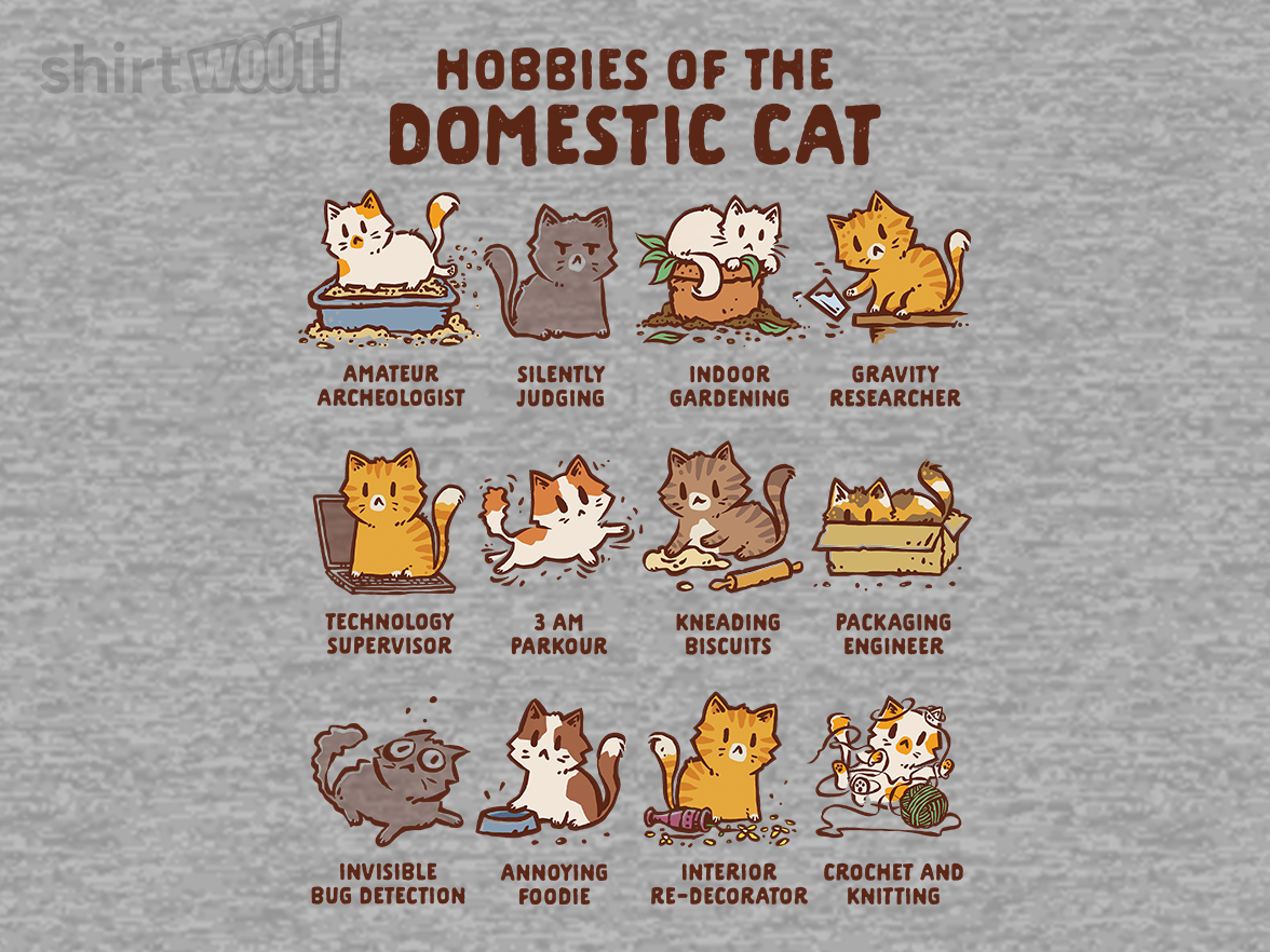 Cat Hobbies - Gallery 9