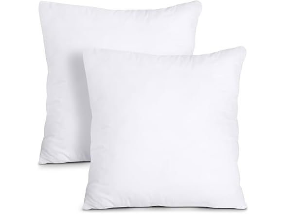 Throw Pillows Insert (Pack of 2) 18"x18"