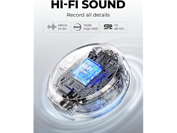 Hollyland Lark M2 Wireless Microphone