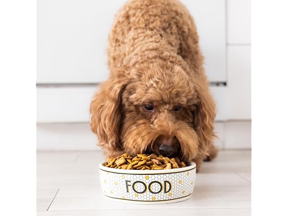 Pearhead Ceramic Dog Food Bowl – Bistro Tile