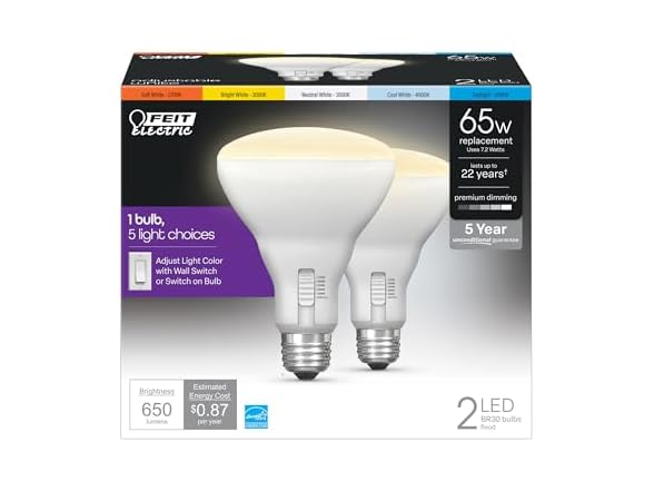 Feit Electric BR30 LED Light Bulb(2 Pack)