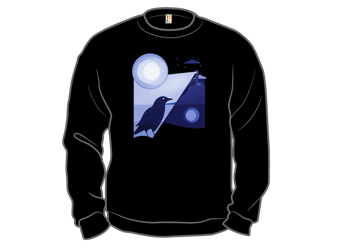 Bird Illuminated By The Lighthouse - Gallery 11
