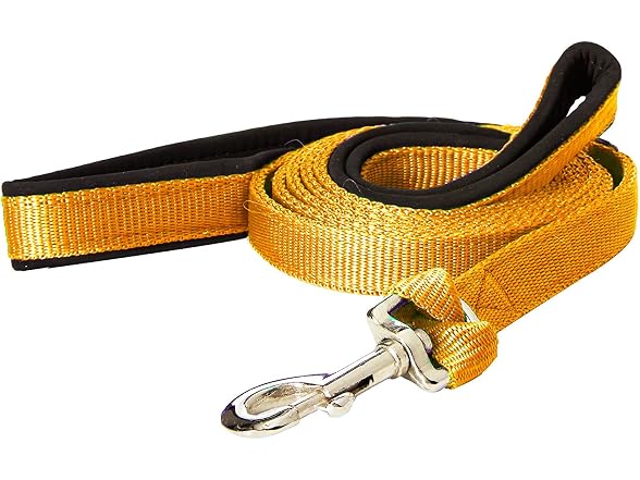 Padded Double Handle Leash with Warranted Re