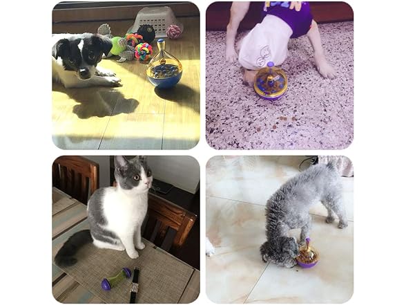 PJDDP Interactive Dog Cat Toys Ball