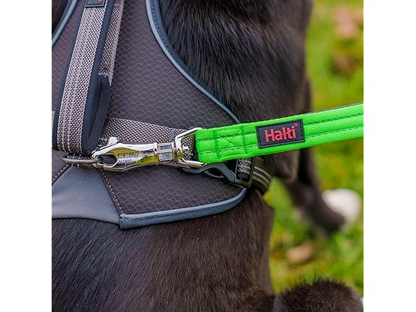 Halti BRIG Safety Dog Leash - Color-Coded Dog Leash