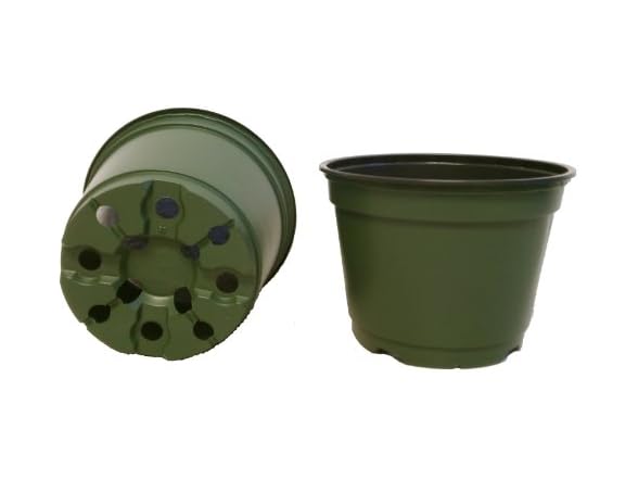 Seed Kingdom 6" Plastic Pots 100pk